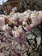 Econo Lodge Inn & Suites