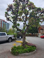 Econo Lodge Inn & Suites