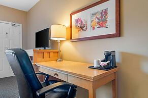 Econo Lodge Inn & Suites
