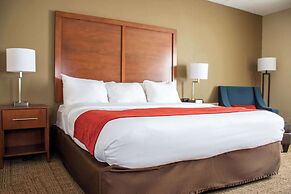 Comfort Inn Dickson