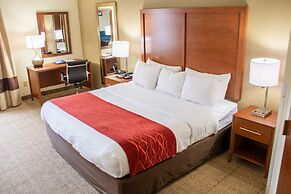 Comfort Inn Dickson