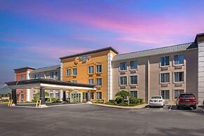 Comfort Inn Dickson