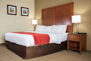 Comfort Inn Dickson