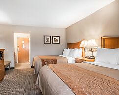 Comfort Inn South - Springfield