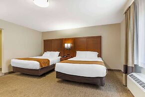 Comfort Inn South - Springfield