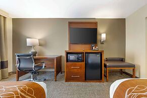 Comfort Inn South - Springfield
