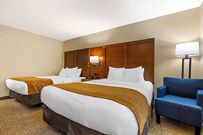 Comfort Inn South - Springfield