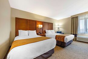 Comfort Inn South - Springfield