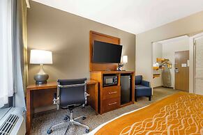Comfort Inn South - Springfield