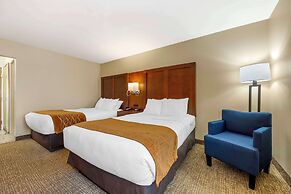 Comfort Inn South - Springfield