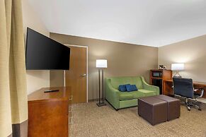 Comfort Inn South - Springfield