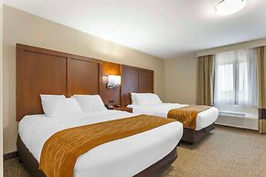 Comfort Inn South - Springfield