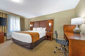 Comfort Inn South - Springfield