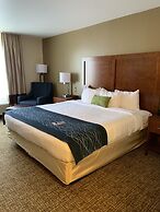 Comfort Inn Franklin Highway 96