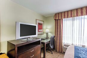 Comfort Inn Franklin Highway 96