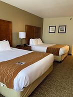 Comfort Inn Franklin Highway 96