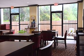 Comfort Suites Bush Intercontinental Airport