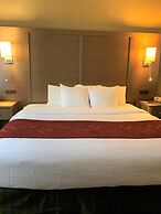 Comfort Suites Bush Intercontinental Airport