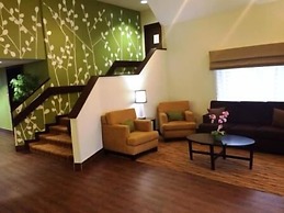 Sleep Inn Matthews - Charlotte