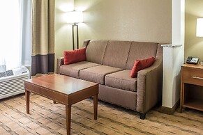 Comfort Inn & Suites Cedar Rapids North - Collins Road