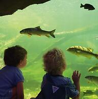 Hampton Inn Frankfort