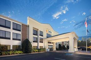 Comfort Inn & Suites Dahlonega University Area