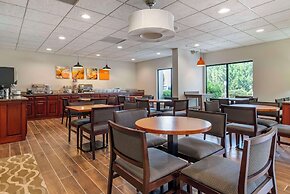 Comfort Inn & Suites Dahlonega University Area