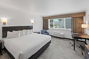 Best Western Wesley Inn & Suites