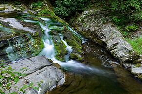 River Terrace Resort & Convention Center