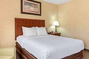 Comfort Inn Traverse City