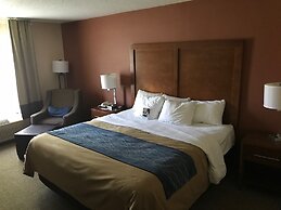 Comfort Inn Livingston