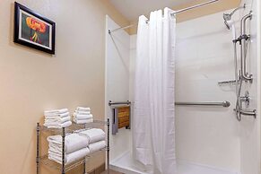 Comfort Suites Boone - University Area