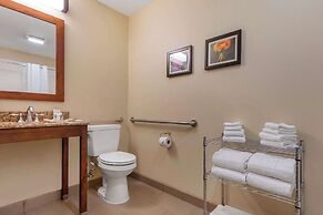 Comfort Suites Boone - University Area