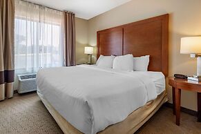 Comfort Inn & Suites Black River Falls I-94