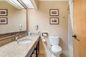 Comfort Inn & Suites Black River Falls I-94