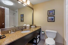 Comfort Inn Horn Lake - Southaven