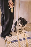 Hotel Manos Stephanie