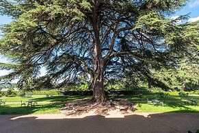 Chateau de Rochecotte