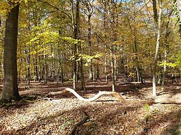 AKZENT Waldhotel Rheingau