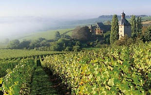 AKZENT Waldhotel Rheingau