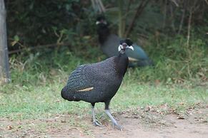 Gooderson Bushlands Game Lodge