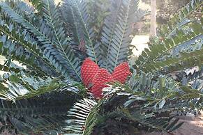 Gooderson Bushlands Game Lodge