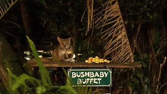 Gooderson Bushlands Game Lodge
