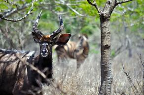 Gooderson Bushlands Game Lodge