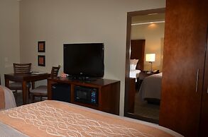 Comfort Inn West Monroe near Sports & Events Center