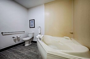 The Leo Collection Detroit, Ascend Hotel Collection