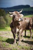 Lindner Hotel Oberstaufen Parkhotel, part of JdV by Hyatt