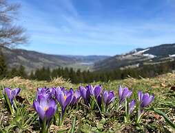 Lindner Hotel Oberstaufen Parkhotel, part of JdV by Hyatt