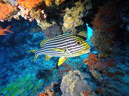 Banyan Tree Vabbinfaru