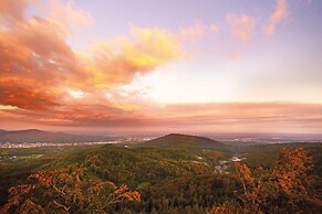 Schwarzwald Panorama